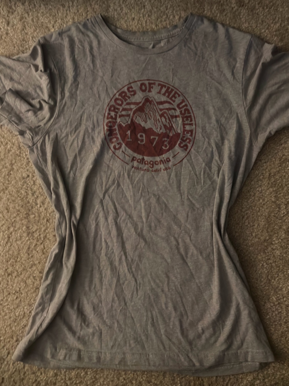Patagonia Light Gray Short-Sleeve Tee with Red Mountain Crest Graphic